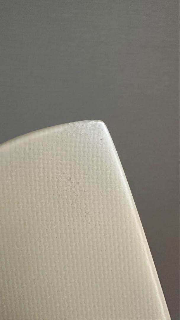 ライアンバーチSQUIT FISH5.7 RYAN BURCH ツインフィン