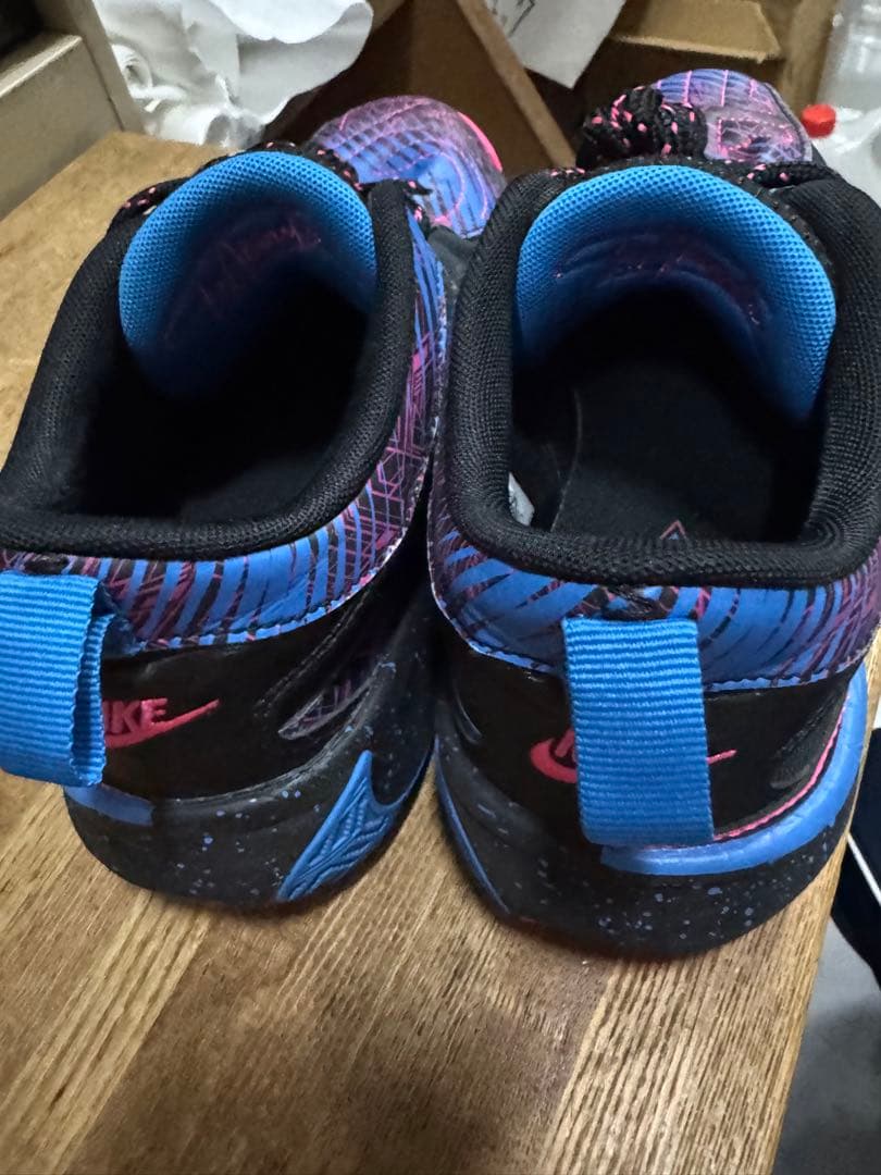 バスケットシューズ バッシュ フリーク Nike ZoomFreak5 美品