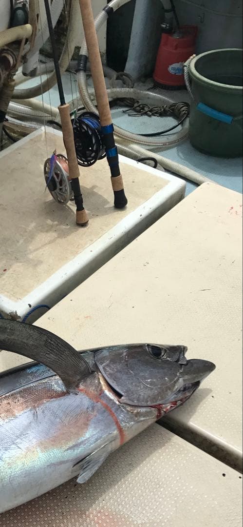 Scott Meridian フライロッド 8.4ft 15LINE 3ピース