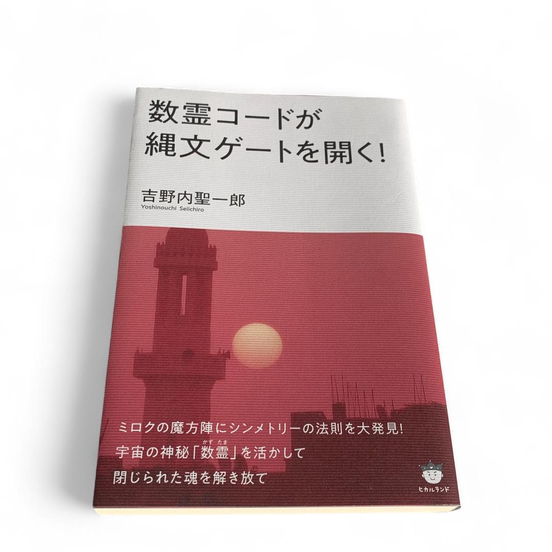 【美品・送料込み】数霊システム 3 Ⅲ KS-03 IHMドルフィン