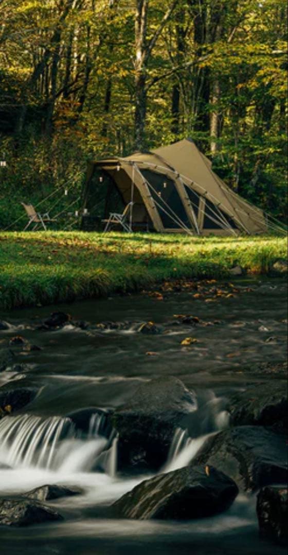 Zane Arts / lolo-M / ガイロープ取付済み