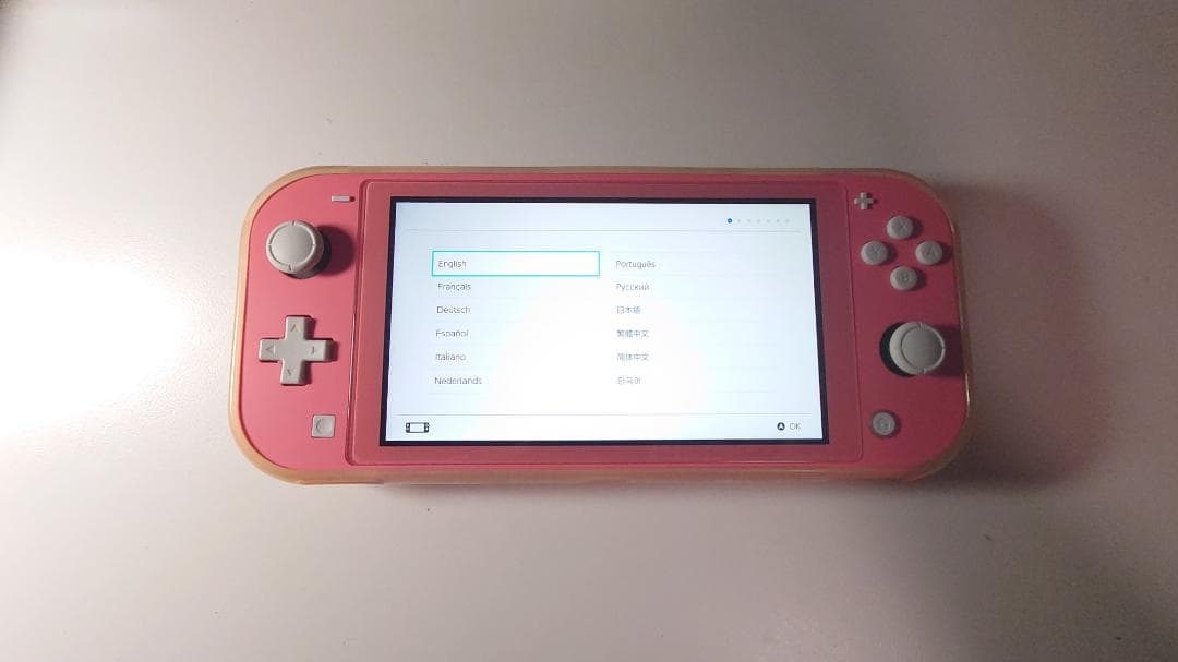 Nintendo Switch Lite ピンク 本体 カバー＆ケース付き