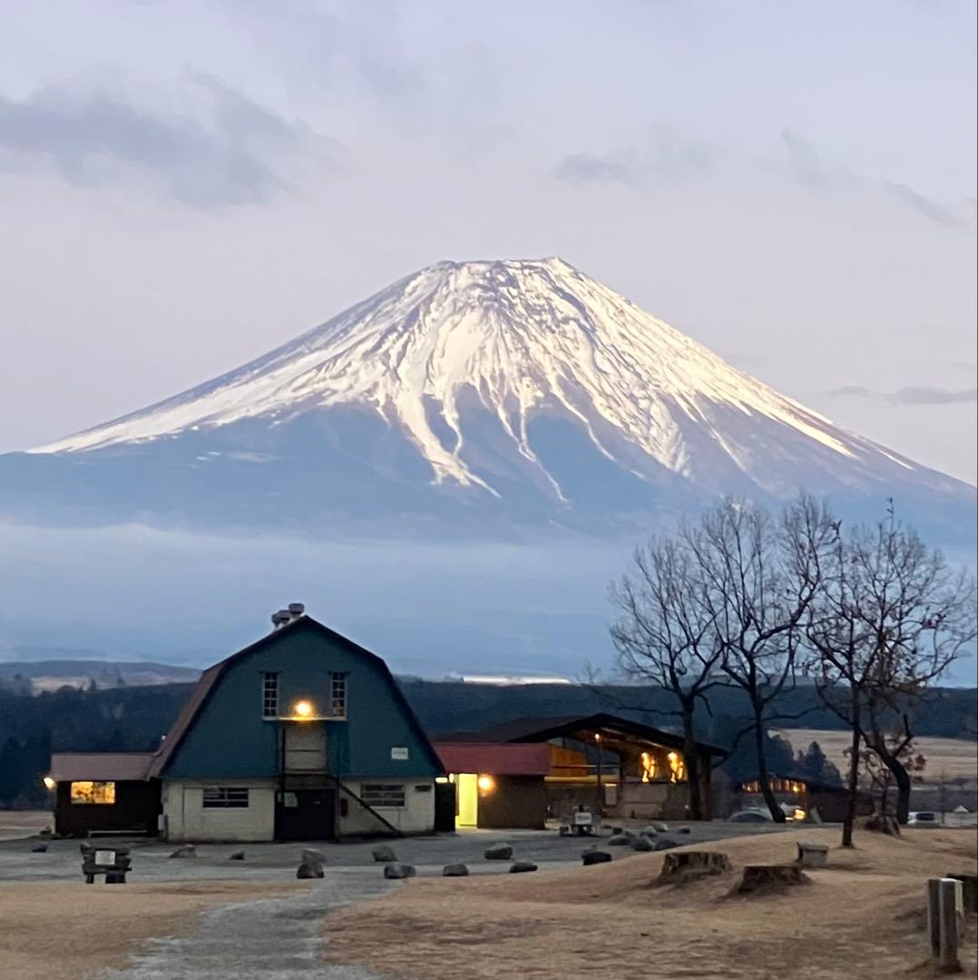取説付《テンマク大炎幕 仕様》二股フレーム＋棟ポール　らくらく設営快適空間