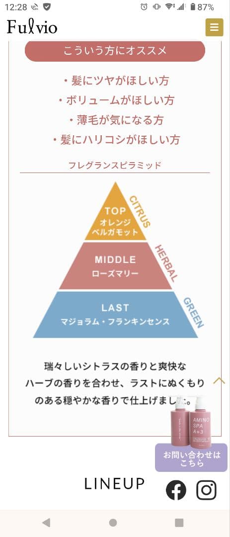 Fulvio AMINO SPA A+3 スプレー＆シャンプーセット