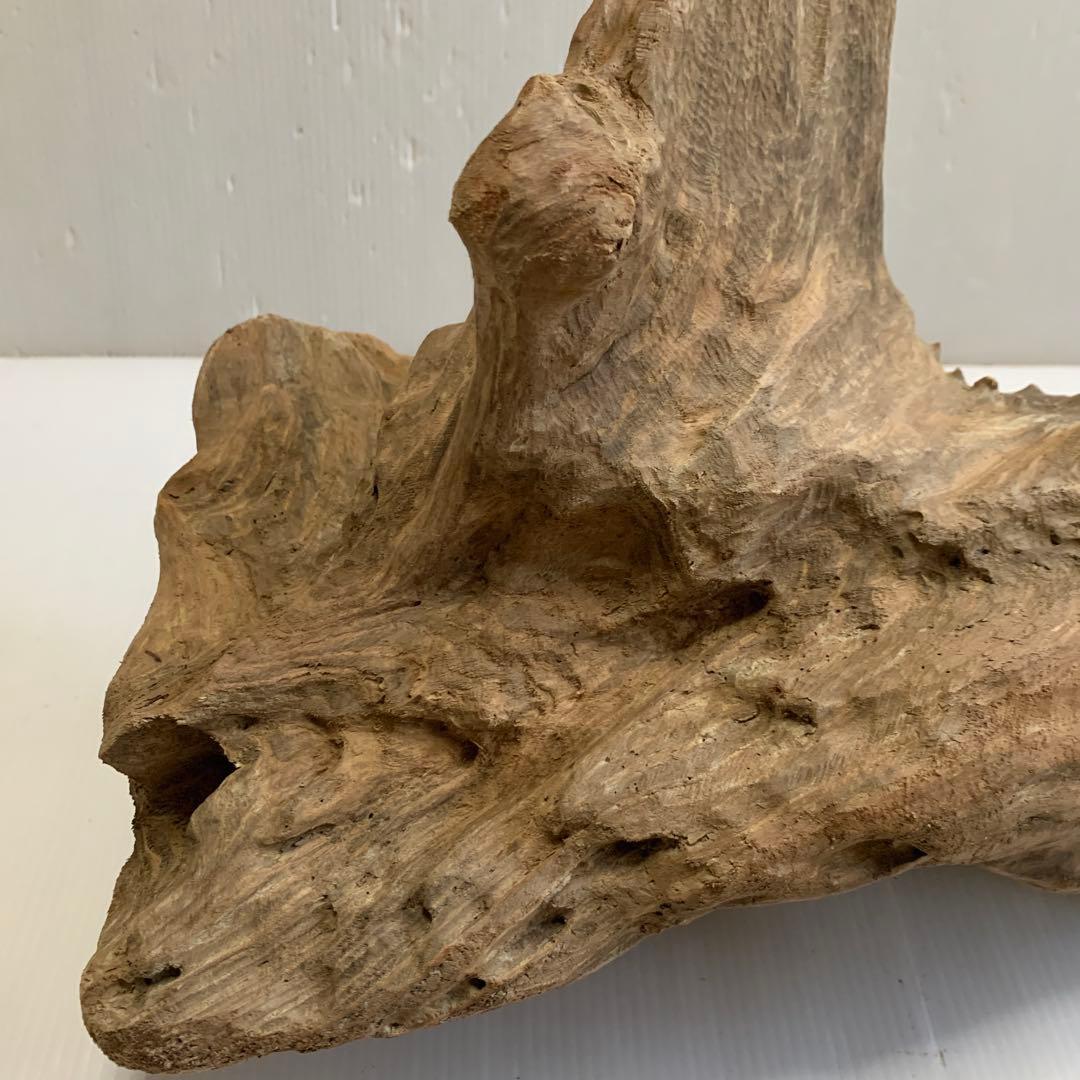 アク抜き済み流木　No.050 .039.031.239.393