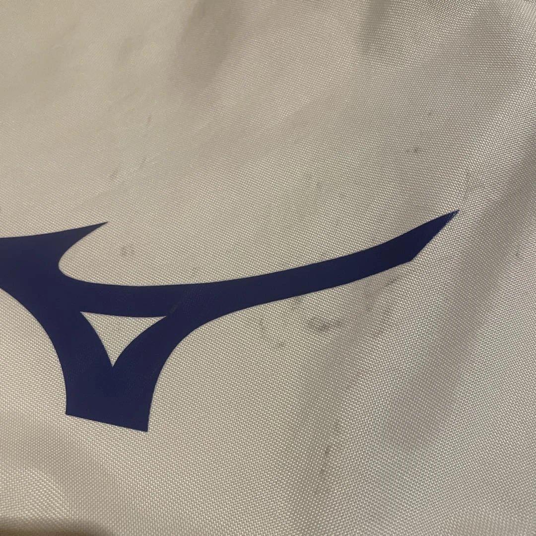 【希少カラー・スタンド式】Mizuno ゴルフ　キャディバッグ