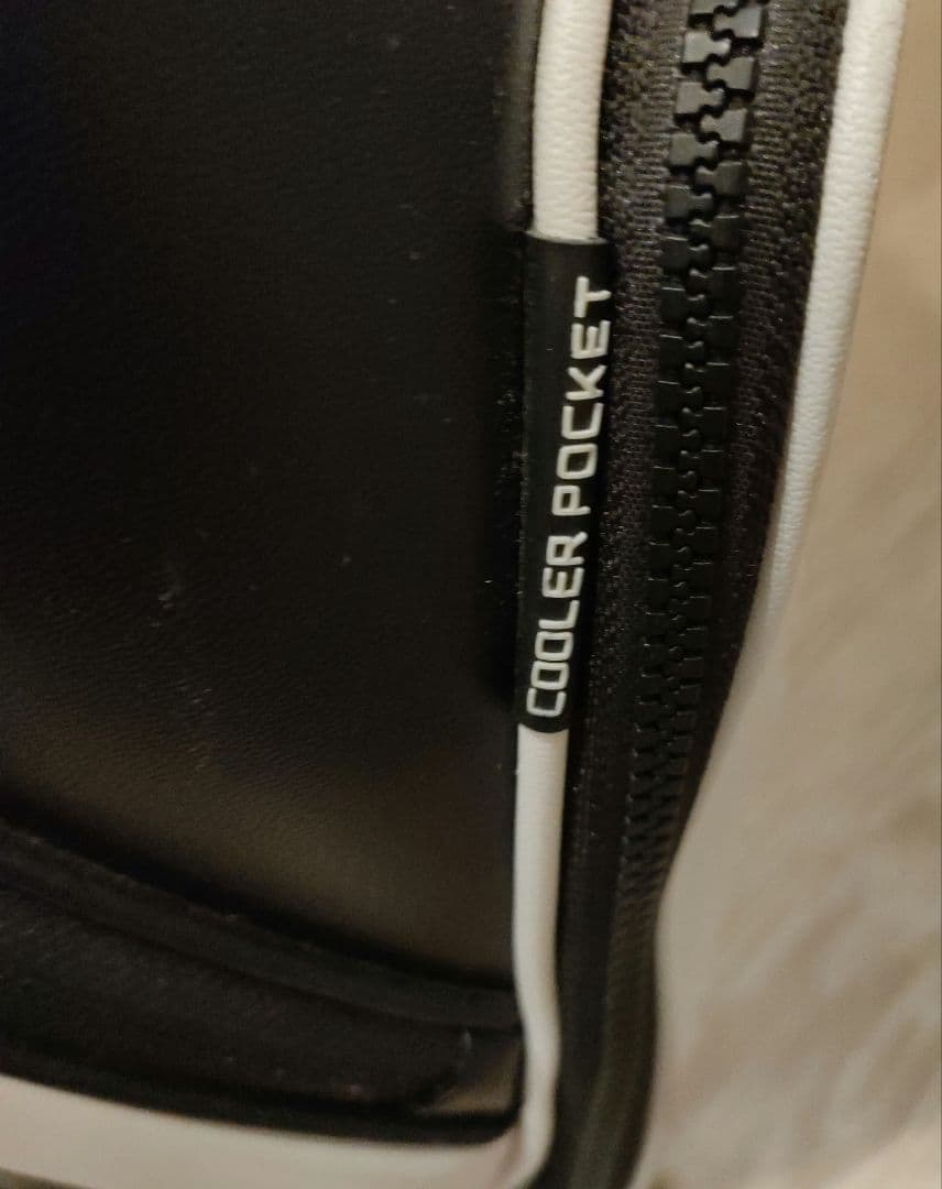 n*e様 【値下げ】希少!　ピン DLX カートバッグ　海外モデル