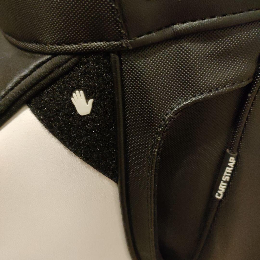 n*e様 【値下げ】希少!　ピン DLX カートバッグ　海外モデル