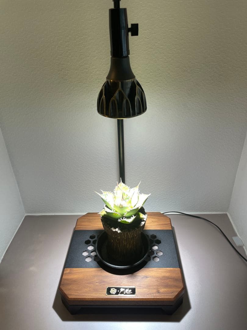 WANTKEY&H&O DS 希少植物育成ライト スタンド