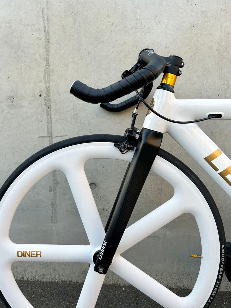 LEADER BIKE 725 TR CUSTOM M 白金 エアロピストバイク