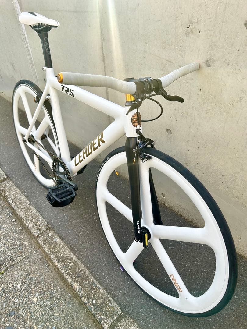 LEADER BIKE 725 TR CUSTOM M 白金 エアロピストバイク
