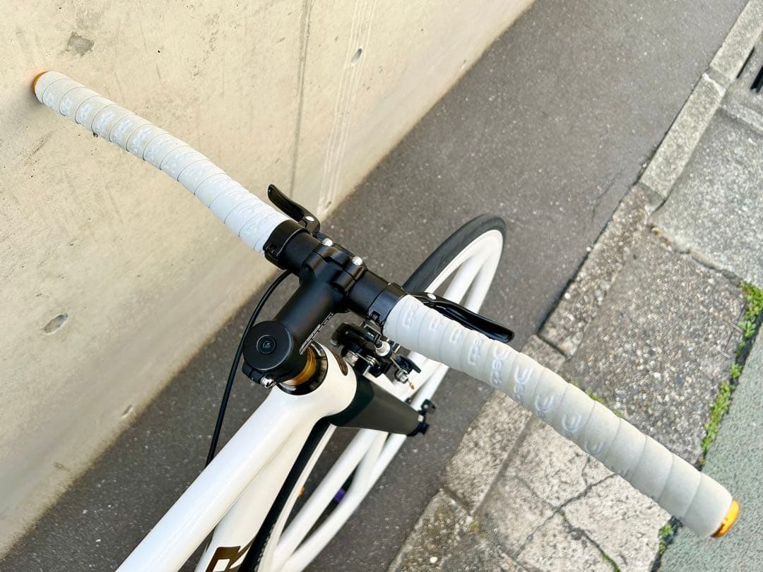 LEADER BIKE 725 TR CUSTOM M 白金 エアロピストバイク