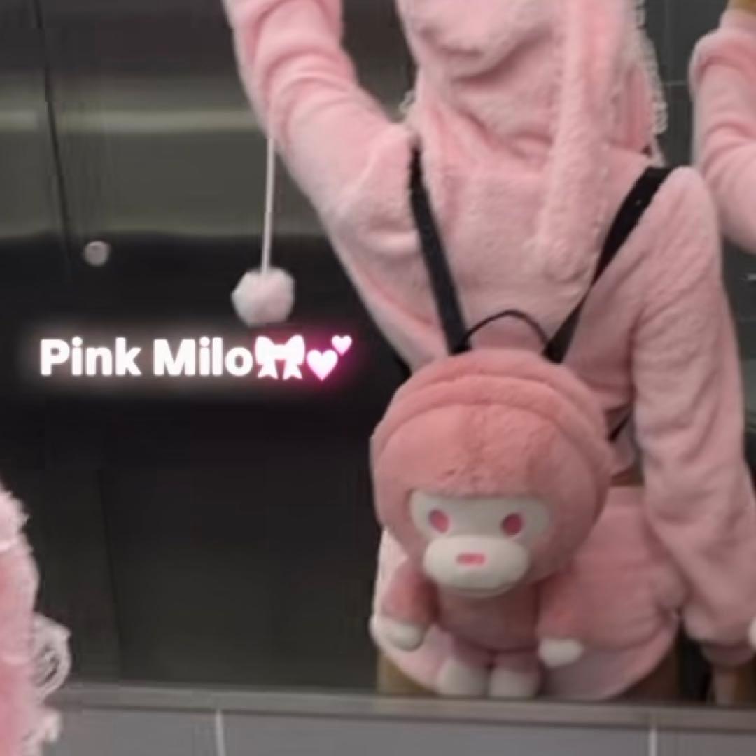 マイロリュック