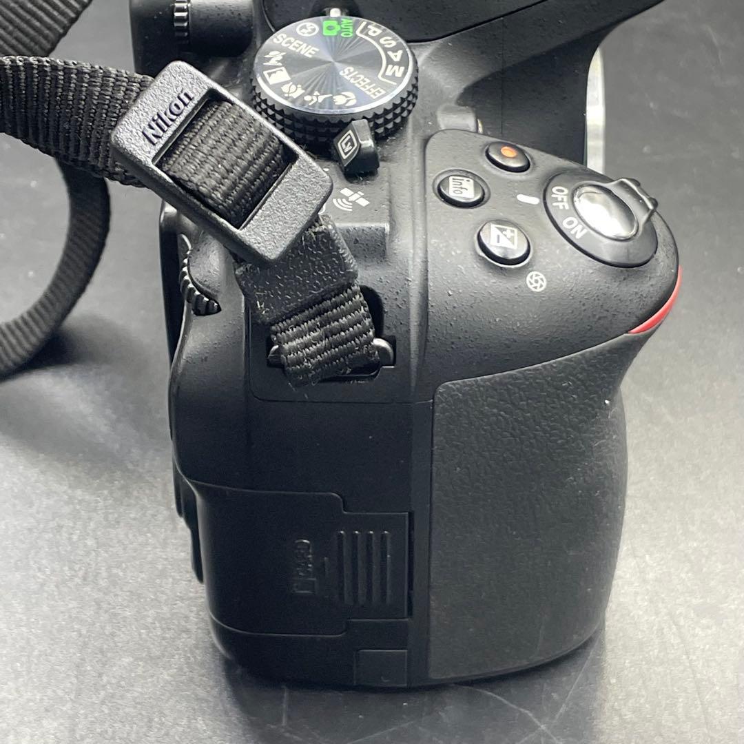 Nikon D5300 ダブルズームレンズキット ショット数5269枚