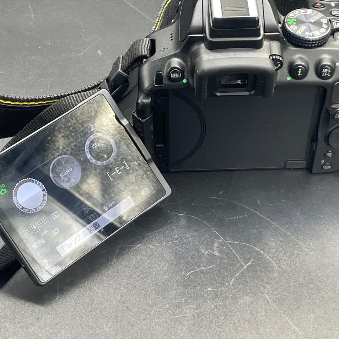 Nikon D5300 ダブルズームレンズキット ショット数5269枚