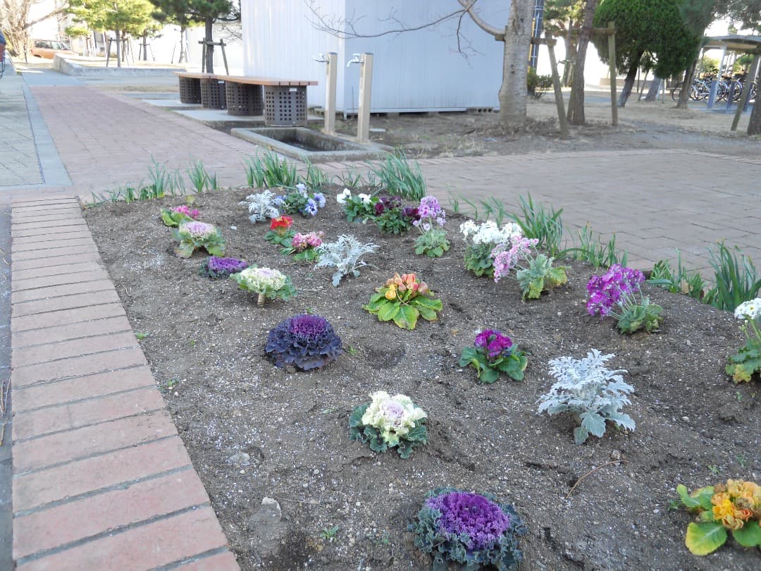 実写美⭕️良品【動作確認済】Nikon COOLPIX S570 ピンク