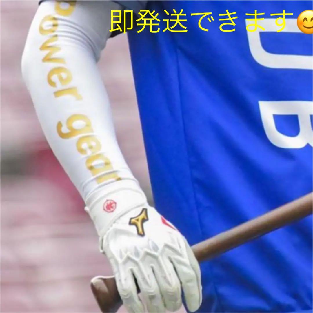 【新品・貴重】セラミックパワーギア　ビッグロゴアームスリーブ