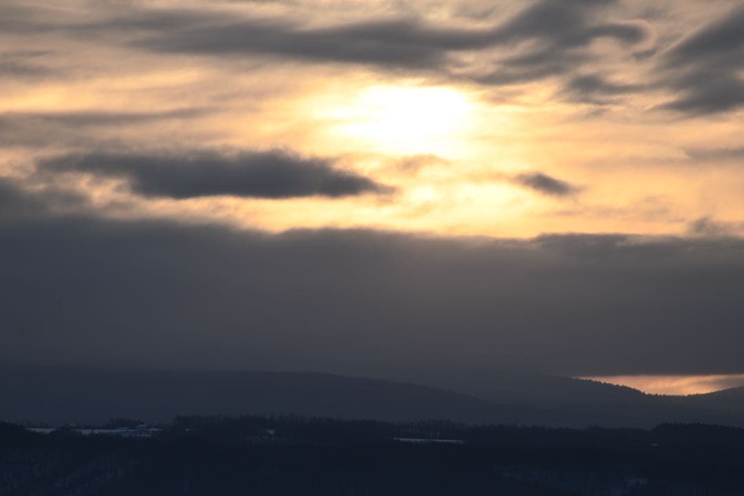 レンズ(単焦点) CONTAX CARL ZEISS Tele-Tessar 300mm F4