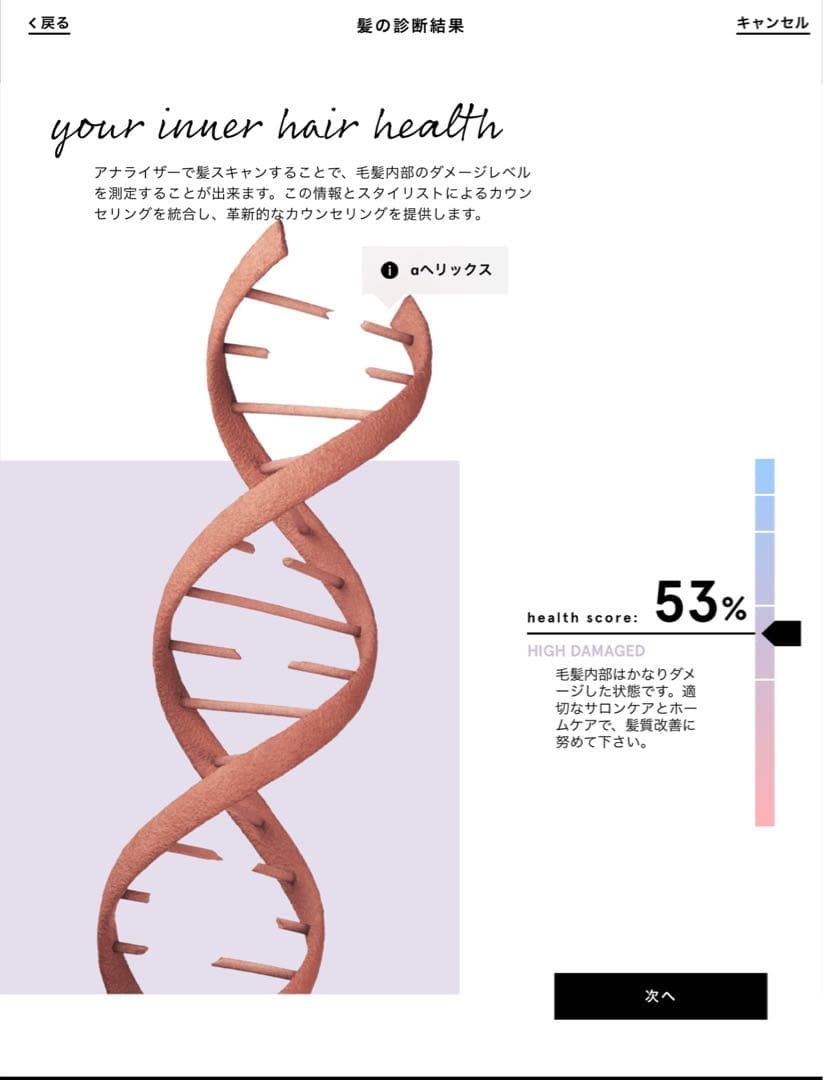 【超レア品】 スマートアナライザー【シュワルツコフプロフェッショナル】