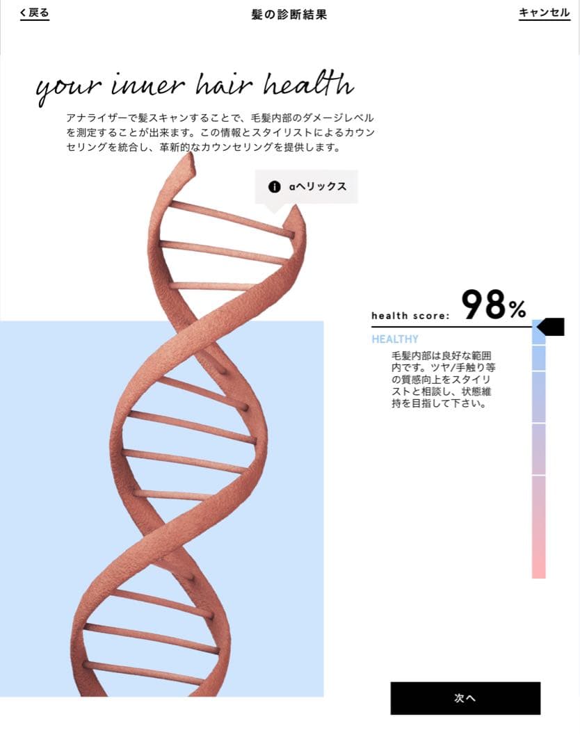 【超レア品】 スマートアナライザー【シュワルツコフプロフェッショナル】