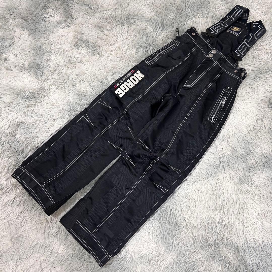 m5948【限定モデル フェニックス ノルウェーアルペンチーム】 スキーウェア