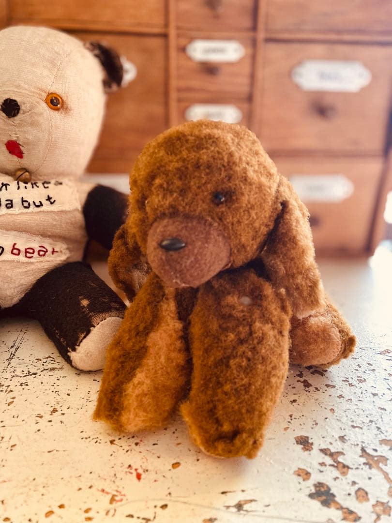 ☆ ✩ ヴィンテージベア ワンコ　DDRベア　アンティークベア　✩