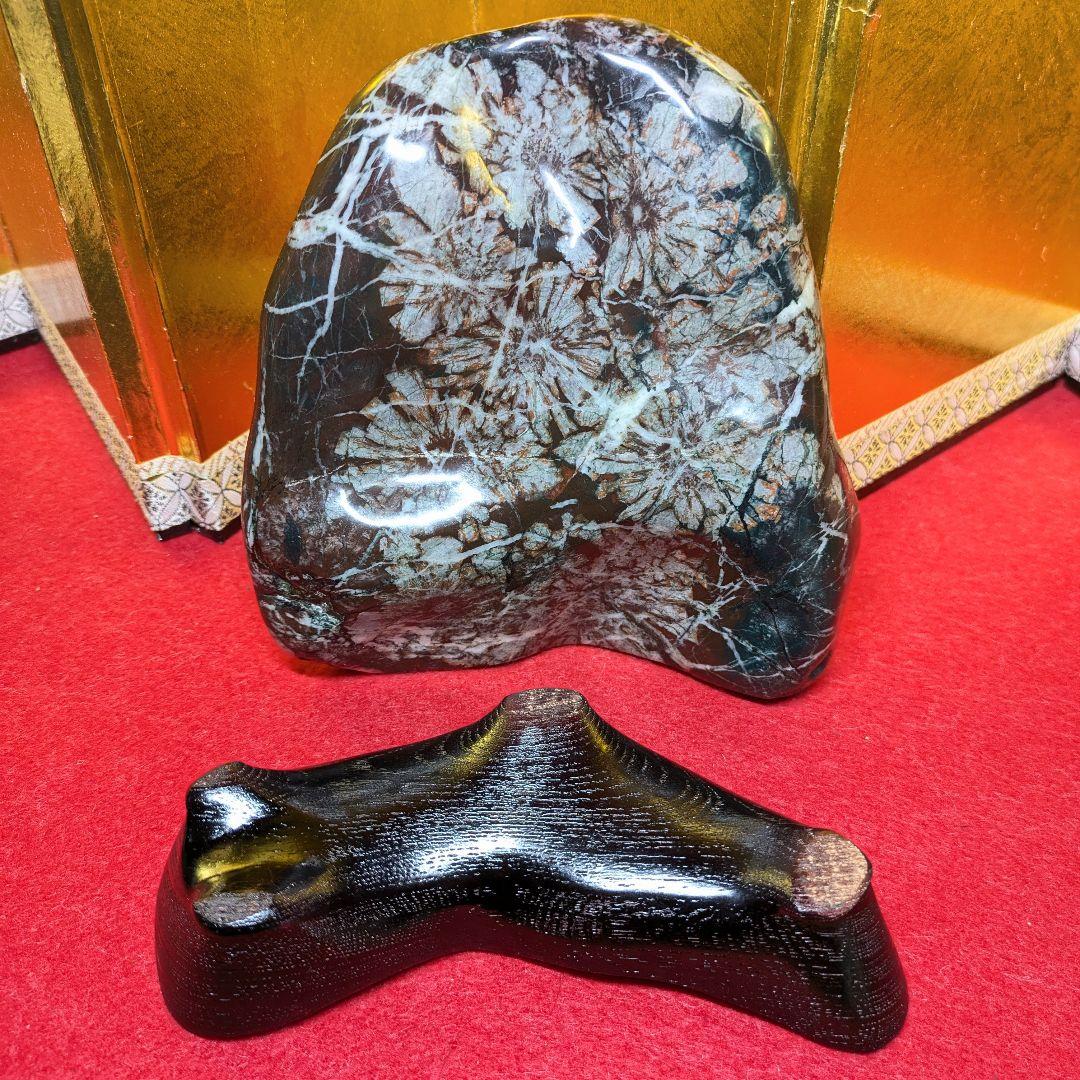 菊花石 岐阜県根尾谷産2.0㌔ 鑑賞石 観賞石 水石 盆石 天然石 置物