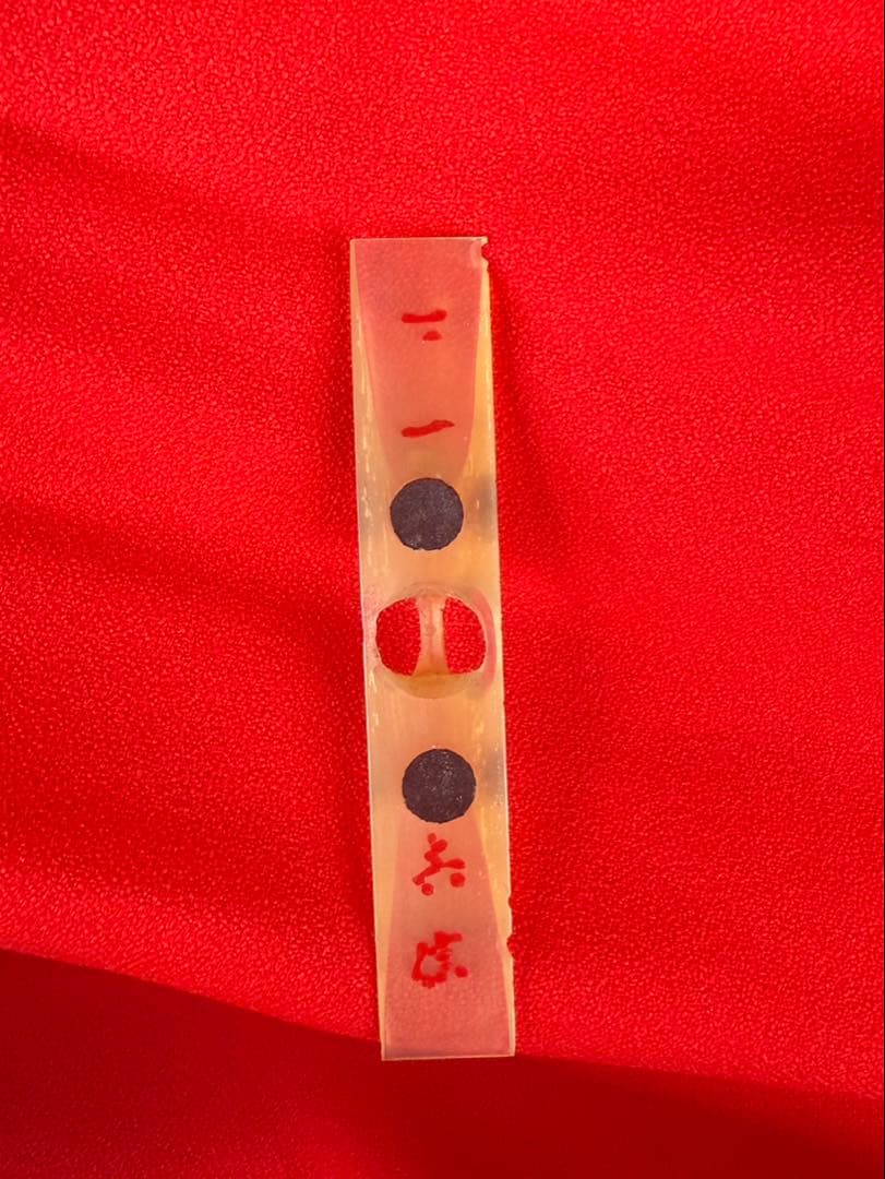 【送料込み】ジャンク品扱い★三味線　ハードケース付き　日本楽器