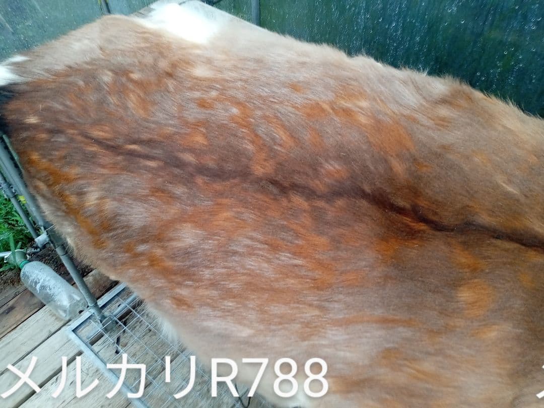 天然日本鹿　ラグ　地走りマダラ