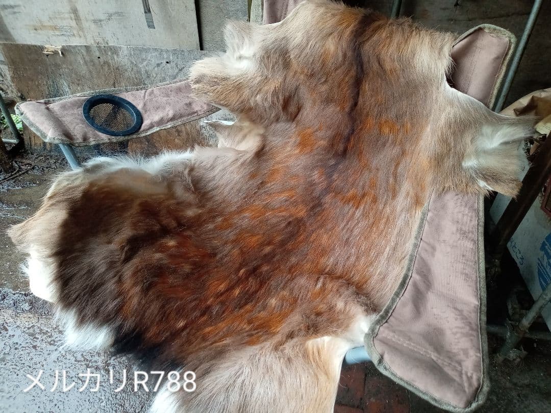 天然日本鹿　ラグ　地走りマダラ