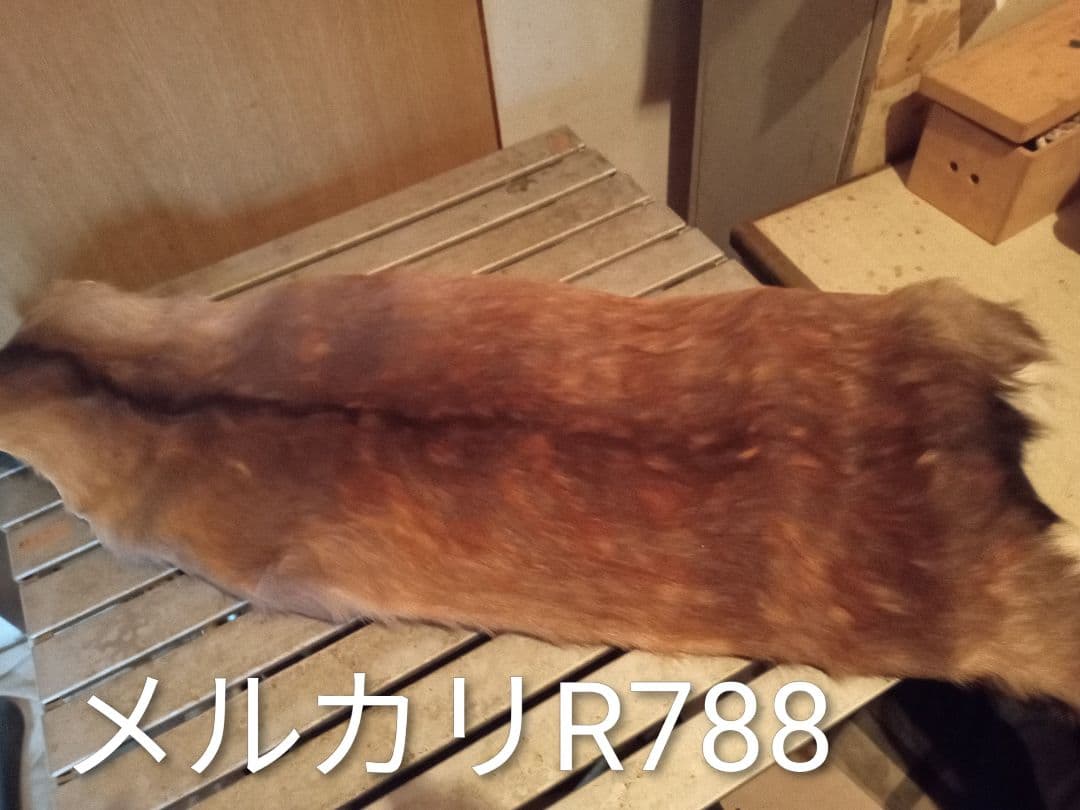 天然日本鹿　ラグ　地走りマダラ