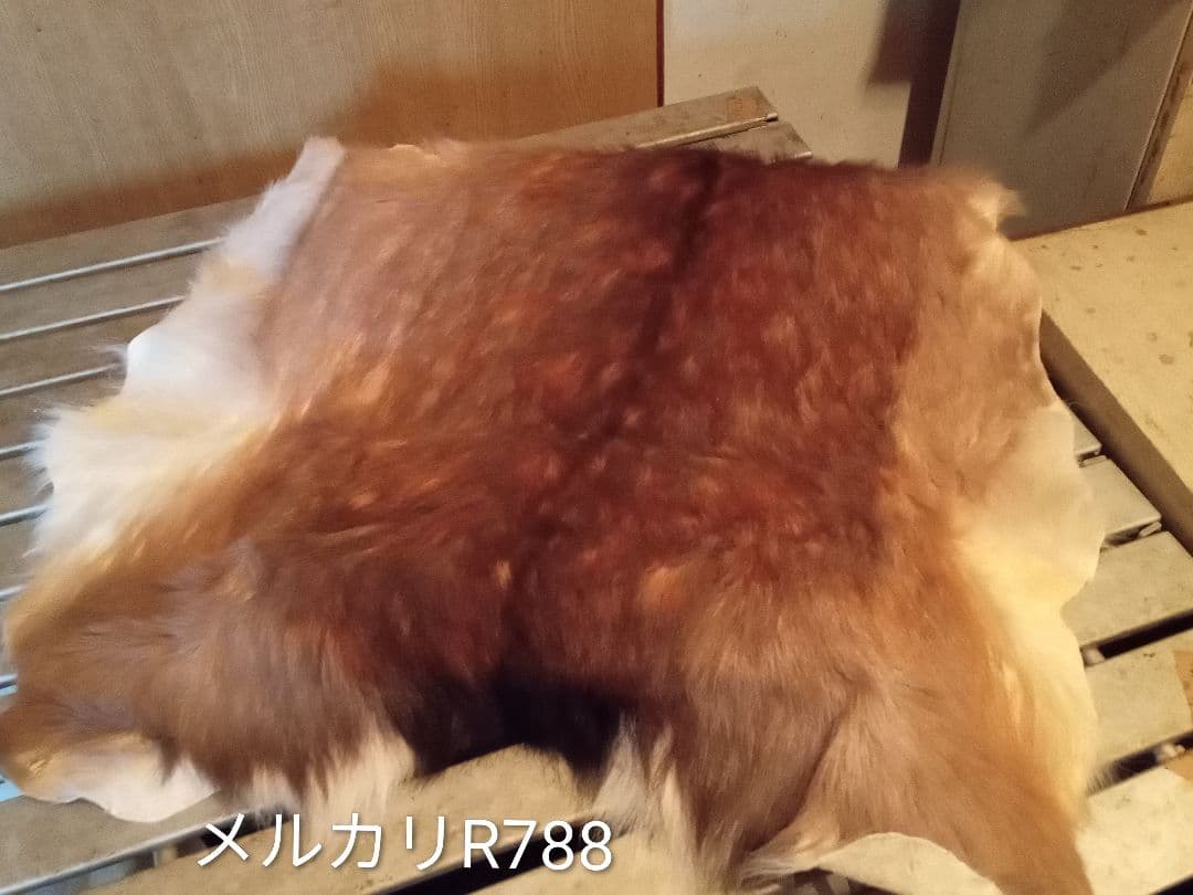 天然日本鹿　ラグ　地走りマダラ