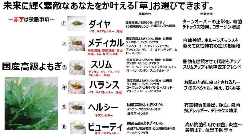 よもぎ蒸しフルセット