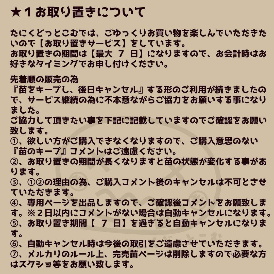 ハートソング◎多肉植物 カット苗 韓国苗 エケベリア等