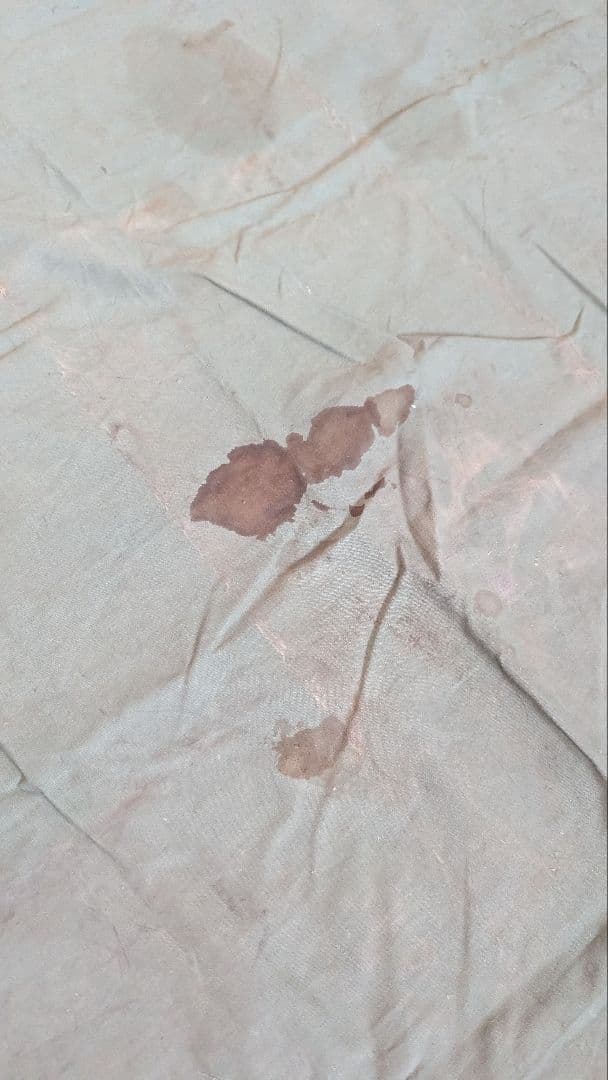 T*2様 [ユーゴスラビア軍] M93 軍幕 ツェルトバーン タープ セルビア軍