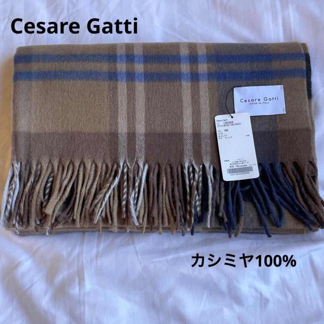 はむすたーCesare Gatti チェザーレ ガッティ☆カシミヤストール