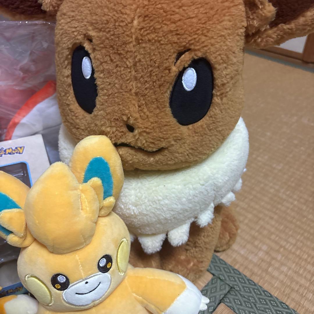 ピカピカボックス 2026 ポケモンセンターオンライン 開封済み