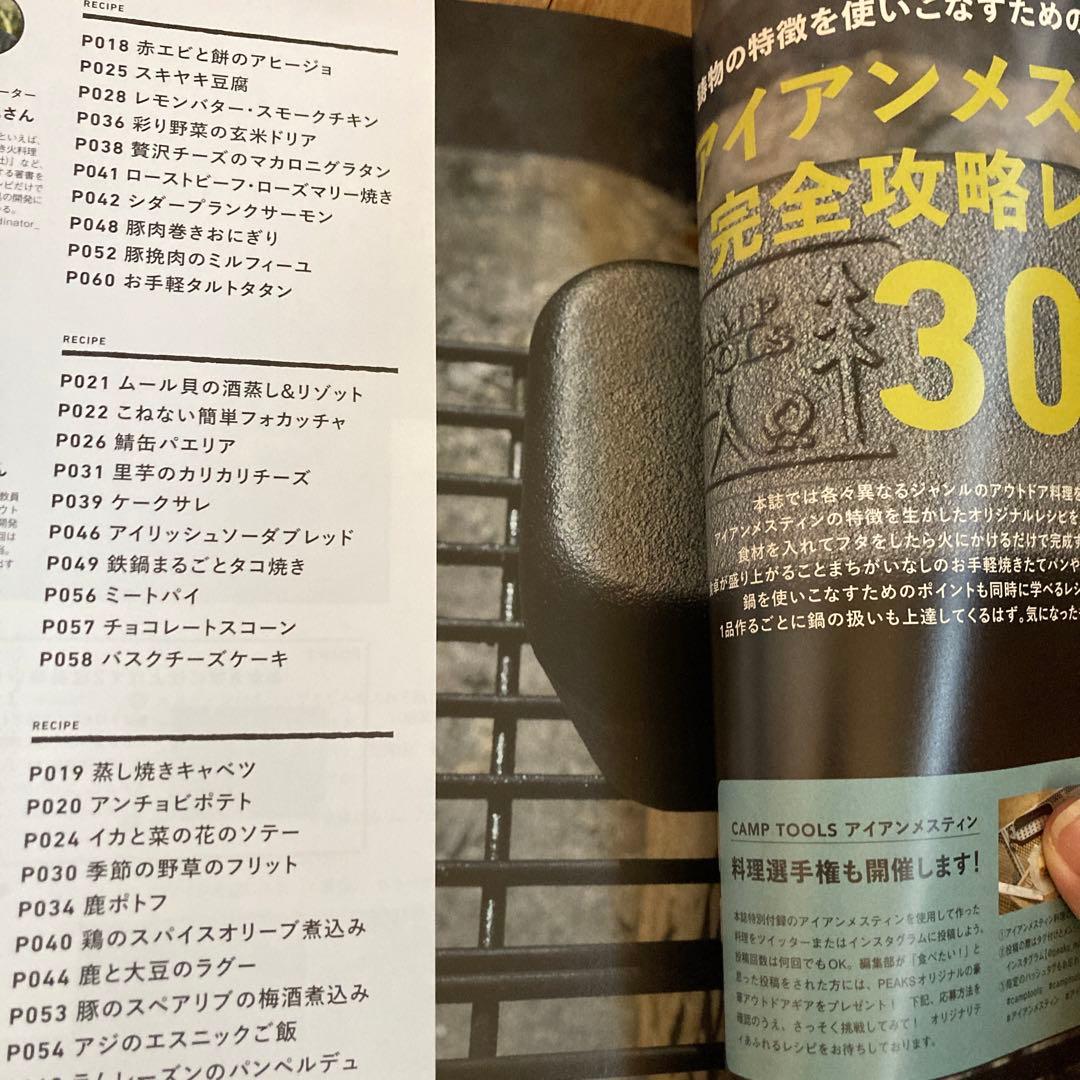 PEAKS アイアンメスティン 2つセット