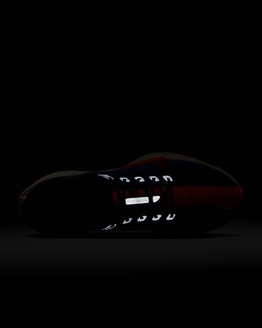 ナイキ NIKE Pegasus Plus ペガサスプラス 26.5cm 美品