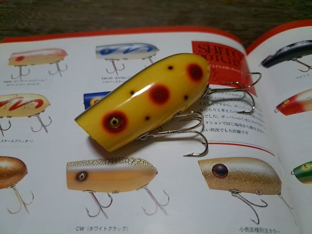 道楽　DOWLUCK 　ドウラク　シトシトポッチャン　オールド