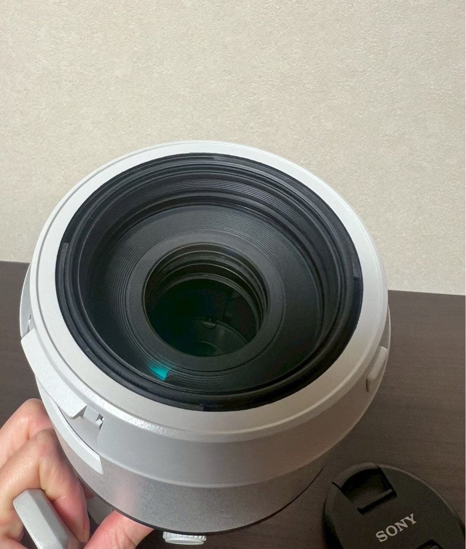 【美品】 SONY FE 100-400mm F4.5-5.6 GM OSS
