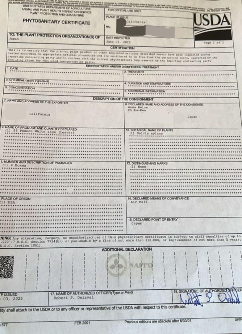 激安価格☆無農薬アウトレットホワイトセージ1KG箱入りお香浄化業務用