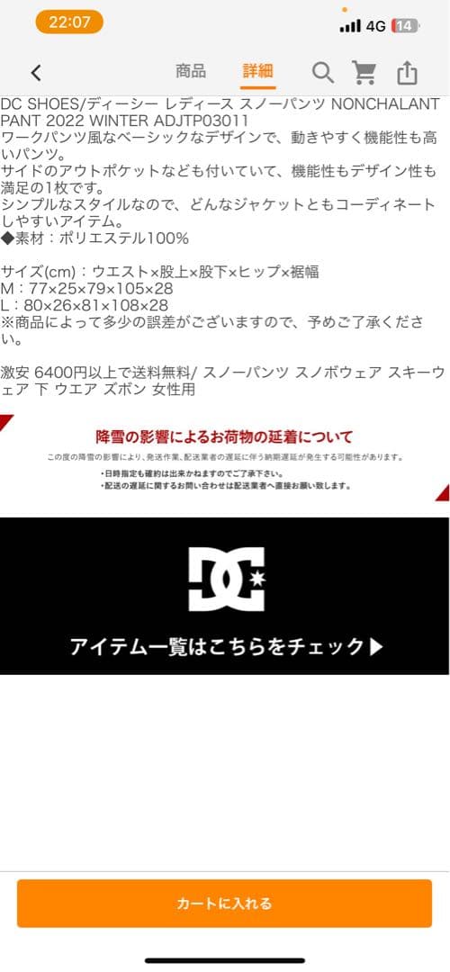 スノボウェア　上下セット　DCSHOES ディーシー　DC