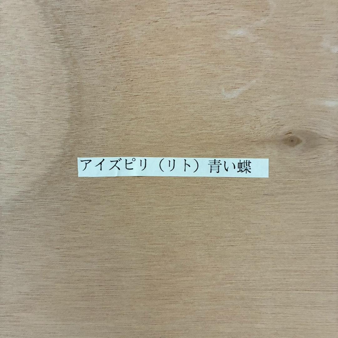 美品 ポール・アイズピリ「青い蝶」リトグラフ 直筆サイン入 人気画家