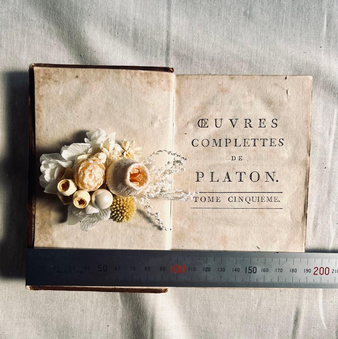 フラワー・ガーデニング corsage no.766