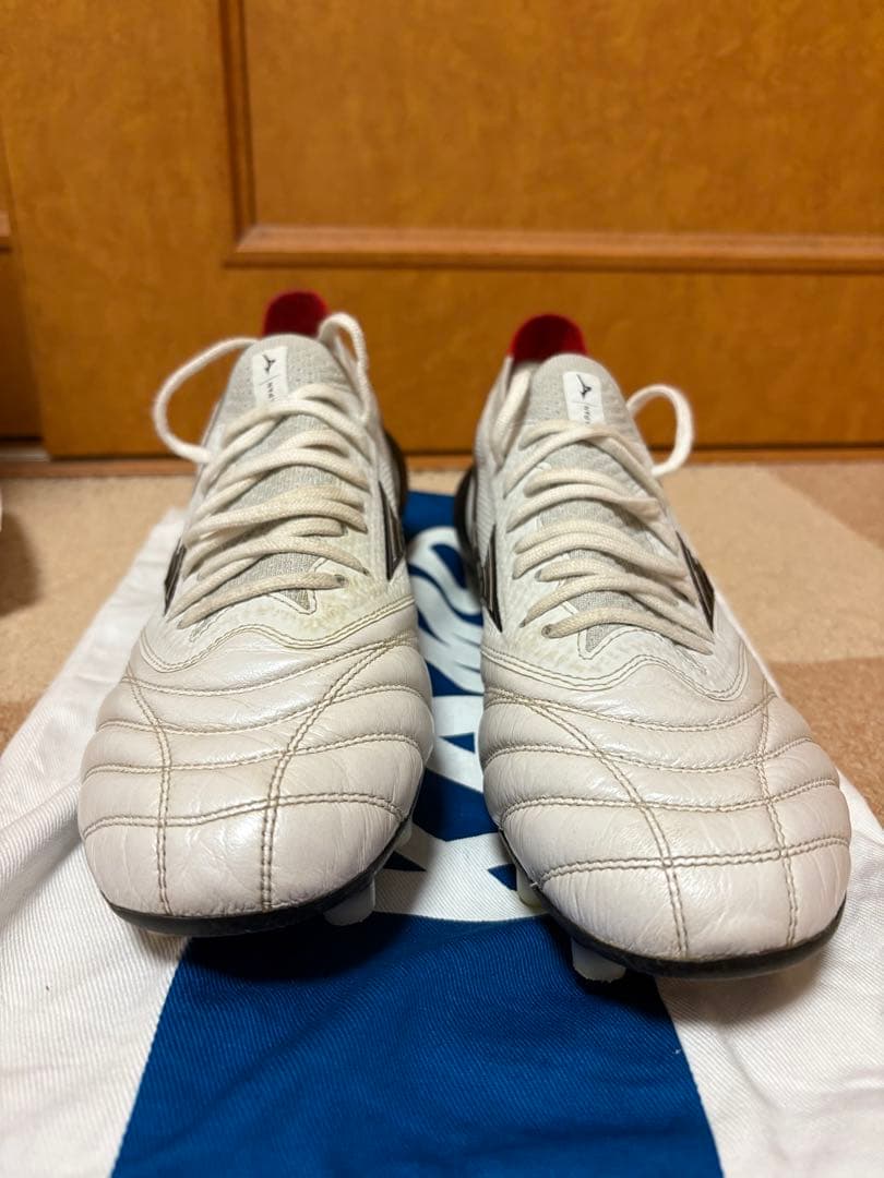 モレリアネオ4ベータ　白黒　25cm