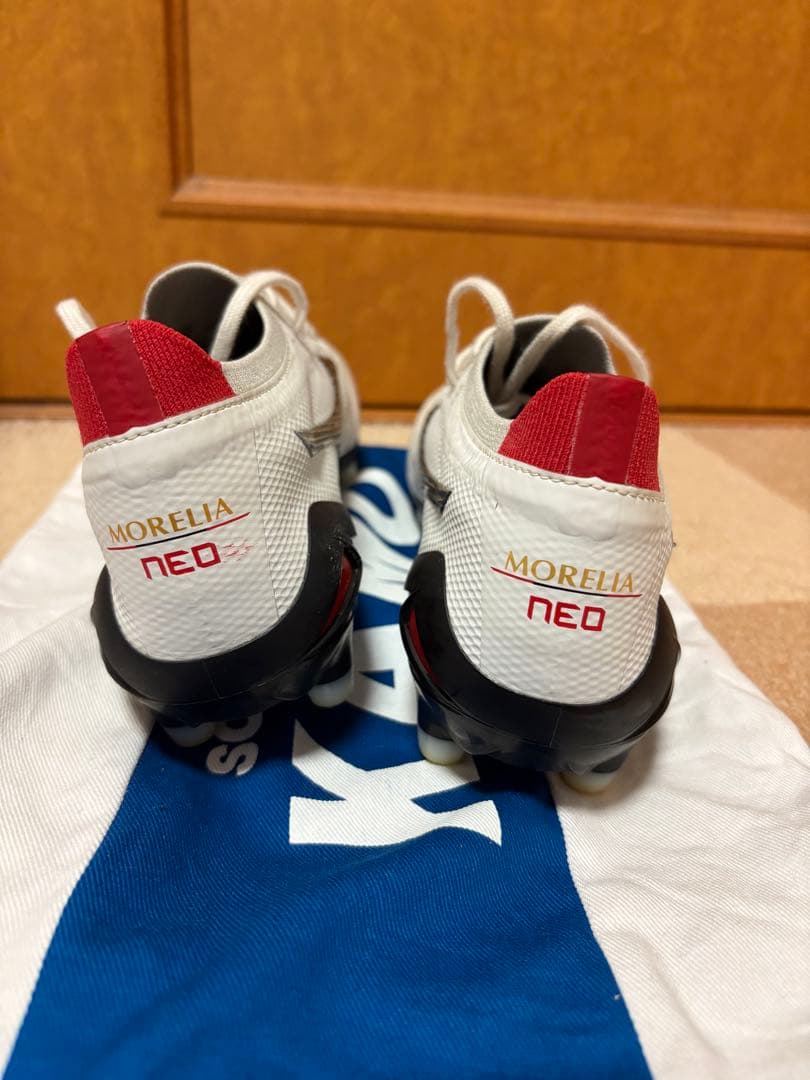 モレリアネオ4ベータ　白黒　25cm