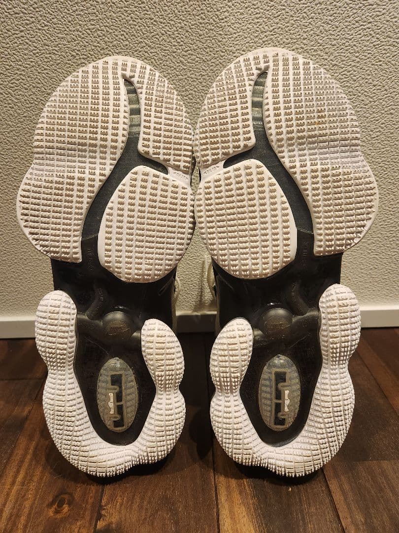 ナイキ レブロン19 29㎝ NIKE LEBLON19