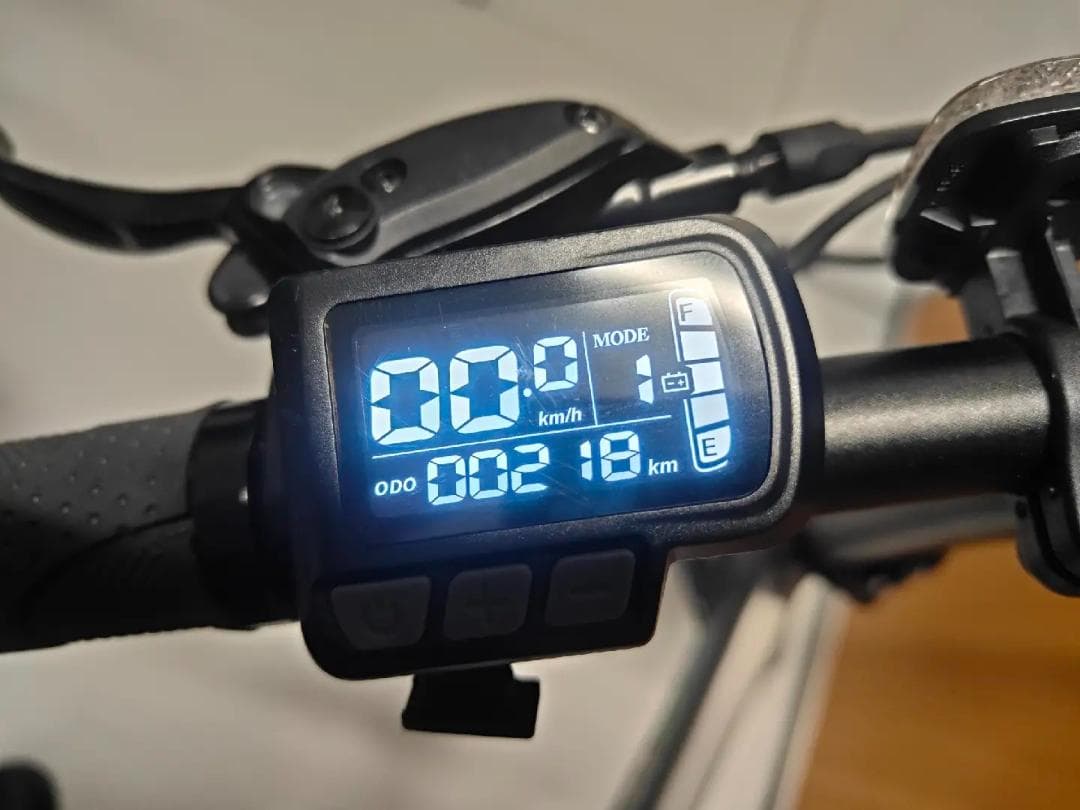 【過去最大割引！ 】電動アシスト自転車 ERWAY A02 グレー