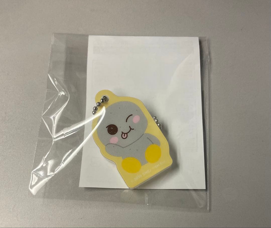 RIIZE ランダムトイ マグネットアクリルチャーム ソンヨンドリ